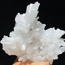 308g Natural White Transparent Crystal Cluster Mineral Specimen/FuJian picture