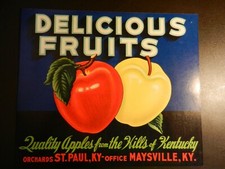 VINTAGE DELICIOUS FRUITS APPLES UNUSED LABEL. Approx. 8 1/2