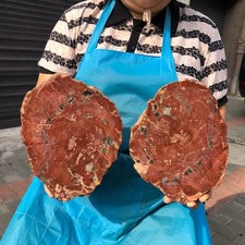 2pcs 7.06LB Natural Petrified Wood Crystal Fossil Slice Shape Specimen Healing picture