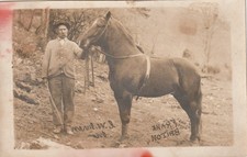 Wytheville VA   C. W. Irvin & Horse ca. 1918 or earlier -- Photo by Frank Briton picture