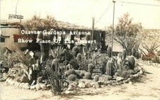 Cactus Garden 1937 Phoenix Arizona RPPC Photo Postcard 7897 picture