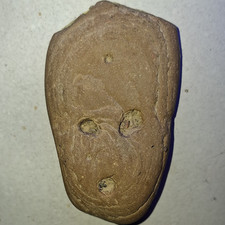 A One Of A Kind Groot  Rock This Is A Scary Look Alike picture
