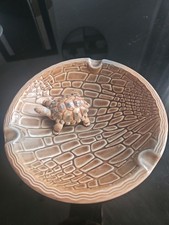 Vintage Wade Pottery England Porcelain Tortoise Ashtray / Trinket Dish Bowl picture