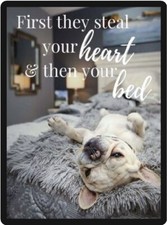 Very Cute French Bulldog Refrigerator Magnet   picture
