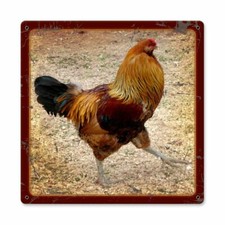 COCKY STRUTTING ROOSTER WALKING THRU BARN YARD HEAVY DUTY USA MADE METAL SIGN picture