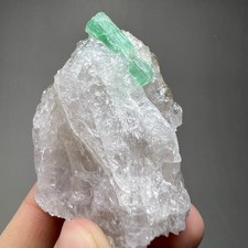 563ct NATURAL GEMMY Emerald Crystal On Quartz, Specimen from Chitral, Pakistan picture