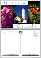 Ontario Canada Lighthouse Monarch Butterfly Flowers Postcard Welcome Centre picture