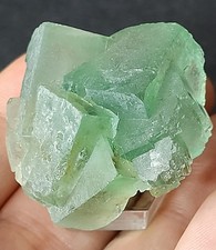 ✨️Vibrant Green Fluorite Crystal Cluster - Zhejiang, China✨️ picture