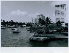 1974 Miami Waterfront Boats Buildings Palm Trees Photo 7x9 picture