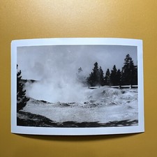 Fountain Paint Pot Yellowstone Ntl Park VINTAGE PHOTO snapshot Mud Pot Caldera picture