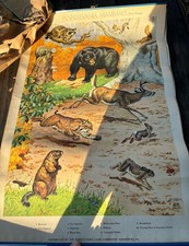 Vintage 1948 PA GAME COMMISSION PENN. MAMMALS JACOB BATES ABBOTT Chart Poster picture