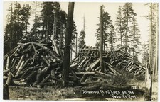 RPPC 2,000,000 ft Logs Coquille River Oregon Logging Industry Postcard Vintage picture