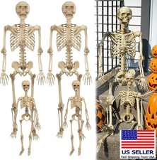 4Pc Halloween Skeleton Life Size Human Posable Adult 5' 4