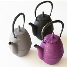 Authentic IWACHU Nambu/Nanbu Tekki  Cast Iron Teapot 