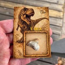 2026 Pieces of the Past One Time S1 T-Rex #2 Insert Non-Sport Card picture