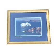 W.Harnum Fort Amherst St. John’s Iceberg Framed & Matted Photo Print “11 x”9 VTG picture
