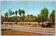Vintage Homestead Motel Durham NC Postcard AAA Superior Motels BB249 picture