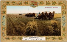 Harvesting in Manitoba Canada's Golden West Canada Patriotic Postcard H53 picture