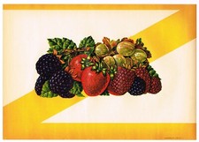 ORIGINAL 1930S STOCK FRUIT CRATE CASE LABEL VINTAGE VARIOUS BERRIES ROESCH CO. picture