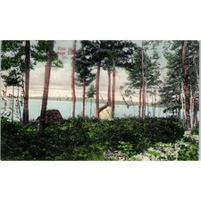 c1905 View on Sebago Lake Maine Original Postcard PC10 picture