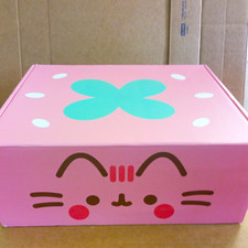 Pusheen Fruits Subscription Box XL Pink Green White Boxed 2024 No Plushie picture