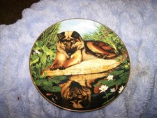 GERMAN SHEPHERD PLATES 8X8 picture