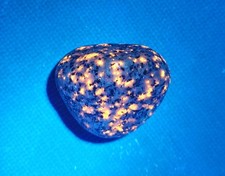 Fluorescent Sodalite ( Yooperlite ) 0.8 oz. A Nice Bright Yooperlite picture