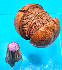 ATQ Walnut Shaped Thimble Case w/Glass Top Thimble *Unique* BIN06 DS36 picture