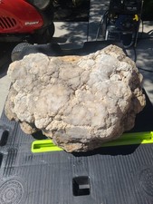 71lb Massive Large Giant Indiana Geode Huge picture