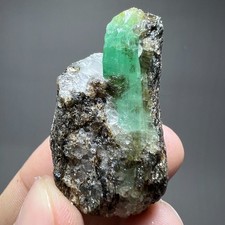 145ct HUGE  Natural Emerald Crystal on Matrix Specimen From Chitral PAK picture