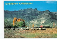 Postcard Ranch Scene in Steens Mountain Area Eastern Oregon USA picture