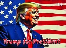 2024 Donald Trump Premium Political Trading Card picture