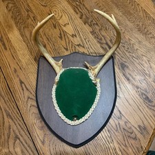Vintage Whitetail Deer Antler Mount Shield Wood Plaque Green Velvet 4 Point 9in picture
