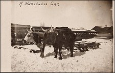 A Horseless Car, Oxen Pulling A Sledge--Real Photo RPPC-G721 picture