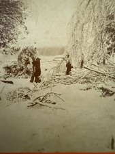 c1870 Niagara Falls Stereoview Hunter Shooting Treed Bear Staged Winter Rare picture