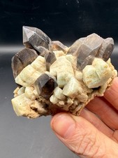 Incredible Amazonite & Smoky Quartz Crystal Cluster Lake George Colorado picture