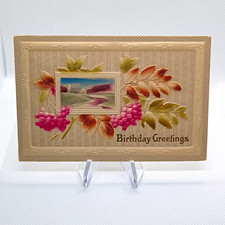 c1910's Vintage Embossed Birthday Postcard Cottage Landscape Germany EAS picture