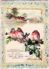 Holzheimer & Shaul Dry Goods, Cloaks. Millinery, etc. Amsterdam, N.Y. Trade Card picture