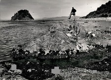 LD374 1954 Original Photo TRAIL'S END @ CAPE ALAVA BEACH WASHINGTON COASTLINE picture