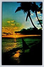 Hawaii Sunset Sunkissed Hawaiian Beaches & Coconut Palms Postcard Scenic View picture