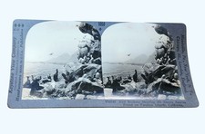 Antique Keystone Stereoview Card Farallon Islands Bird Rookery California picture