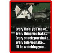 Funny Dog Siberian Husky Watching You  Refrigerator / Tool  Box  Magnet picture
