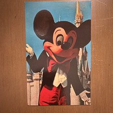 Vintage Walt Disney World Post Card picture