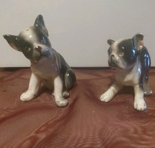 Vintage Miniature Frenchie Bull Dog Figurines Set Of 2 Porcelain  S&P Shakers picture