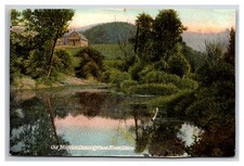 Old Mission Coeur D'Alene River Idaho ~ Pond on dirt road picture
