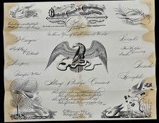 Antige 1880s Gaskell Penmanship Sheet Eagle Flourish 17 “Wide 13 1/2 Inches Tall picture