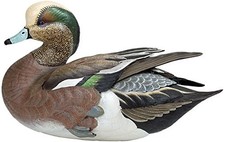 Wild Wings Weaver Bottoms - American Widgeon Large Decoy by Sam Nottleman picture