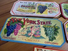 5 VINTAGE ORIGINAL GRAPE ANTIQUE CRATE LABELS C1900-1910 NEW YORK FINGER LAKES picture