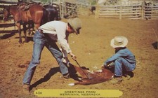 Merriman Nebraska Branding Cowboy Chrome Vintage Post Card Greetings Horseback picture