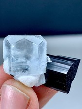 80 Ct’s Aquamarine Crystal Having Sharp Terminations Combine Tourmaline (Shigar) picture